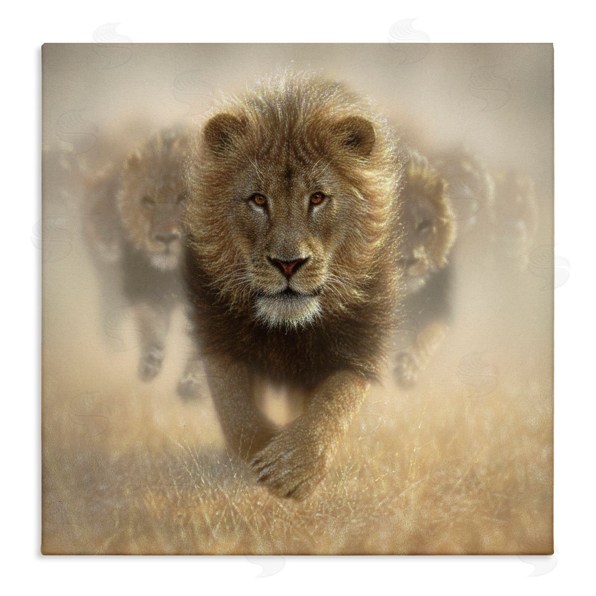 Collin Bogle Eat My Dust Lions Canvas Wall Art Print