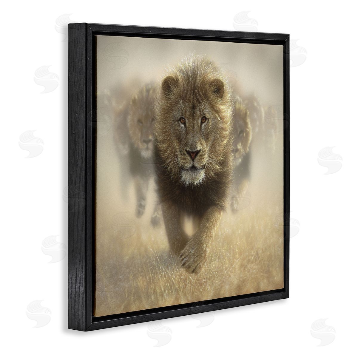 Collin Bogle Eat My Dust Lions Canvas Wall Art Print
