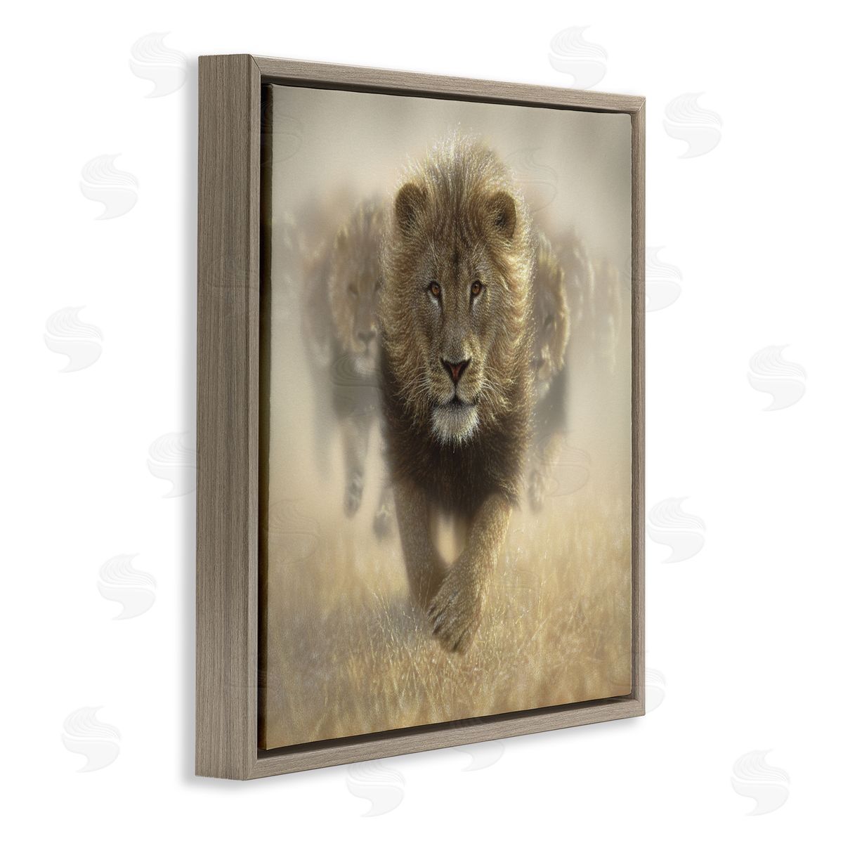 Collin Bogle Eat My Dust Lions Canvas Wall Art Print