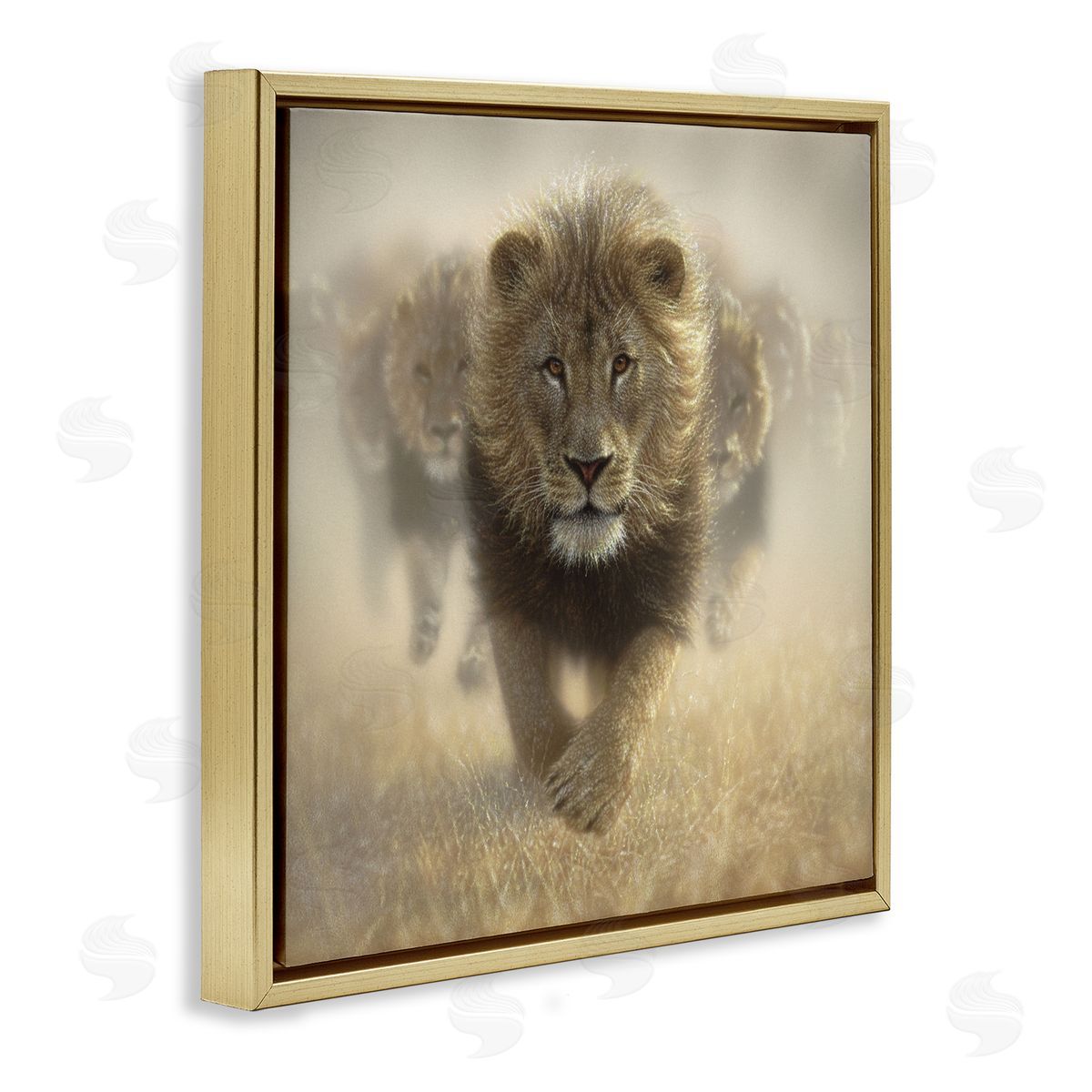 Collin Bogle Eat My Dust Lions Canvas Wall Art Print