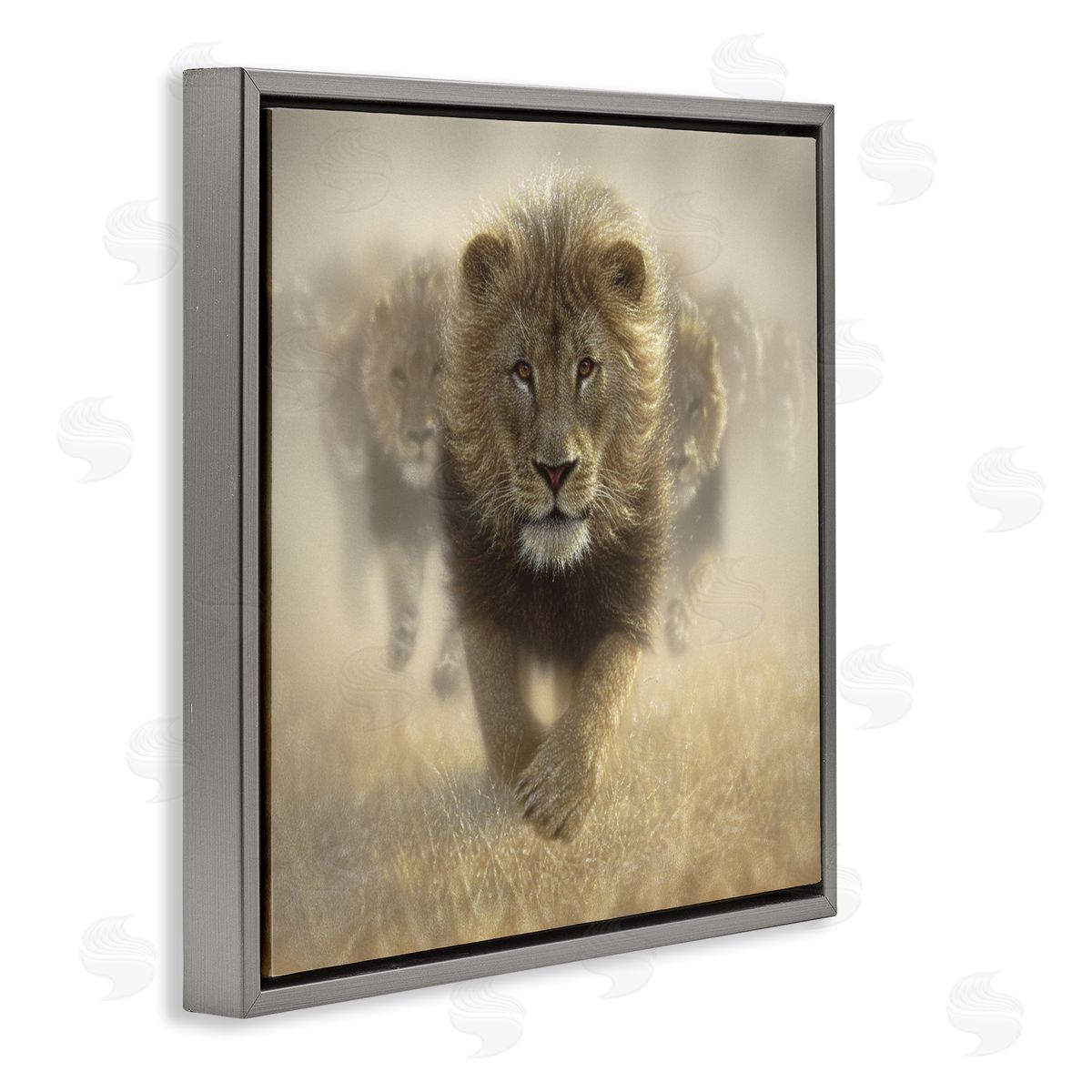 Collin Bogle Eat My Dust Lions Canvas Wall Art Print