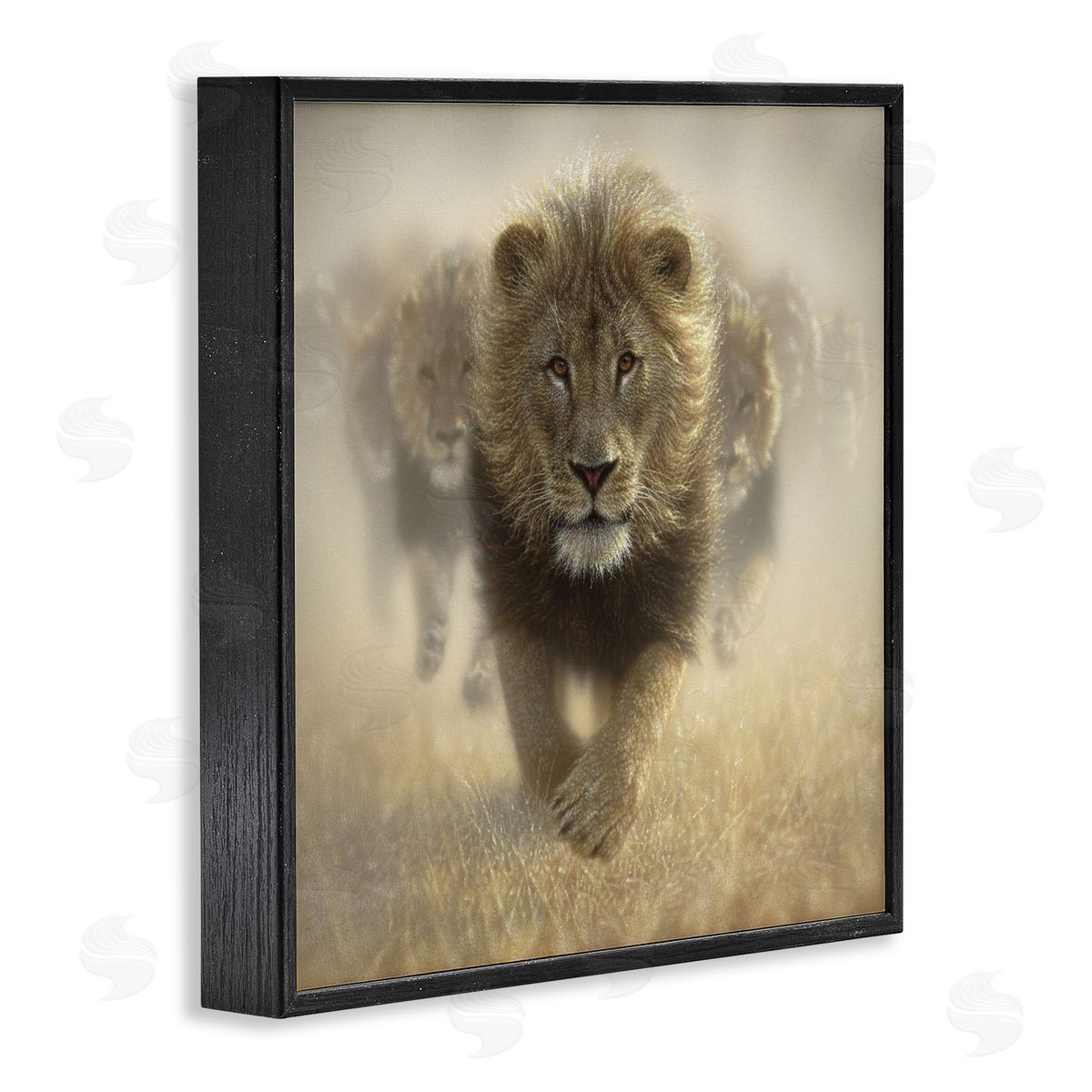 Collin Bogle Eat My Dust Lions Canvas Wall Art Print