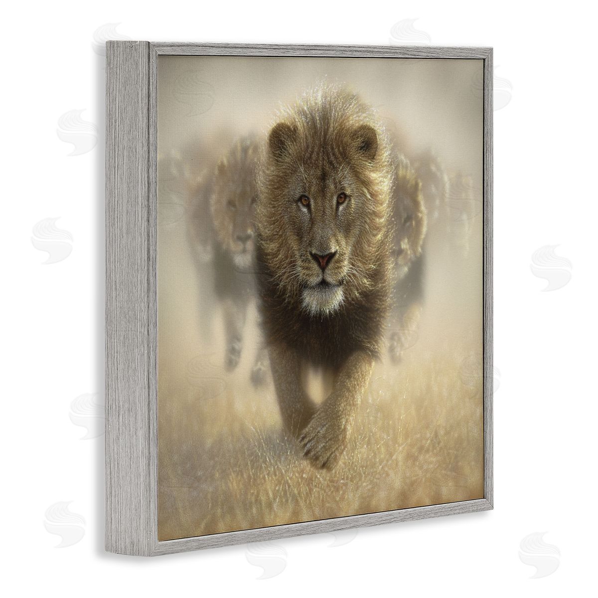Collin Bogle Eat My Dust Lions Canvas Wall Art Print