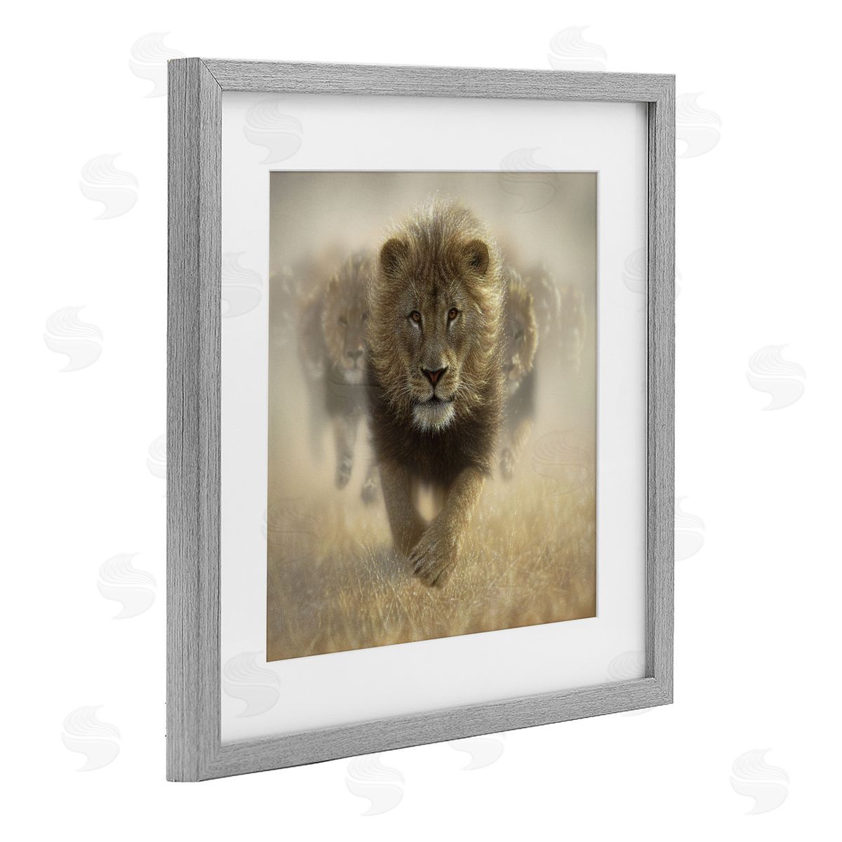 Collin Bogle Eat My Dust Lions Canvas Wall Art Print