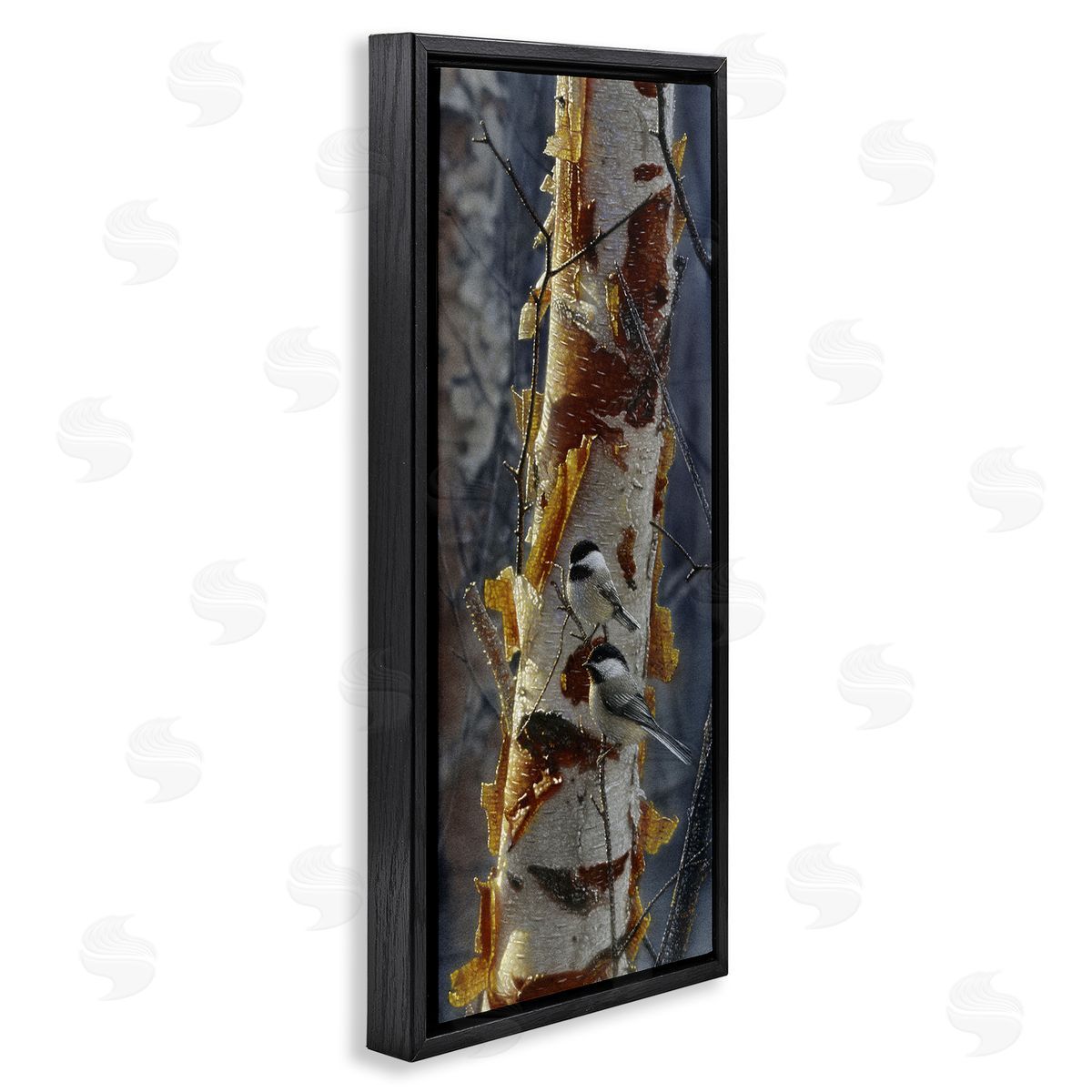 Collin Bogle Sunlit Birch Chickadees Canvas Wall Art Print