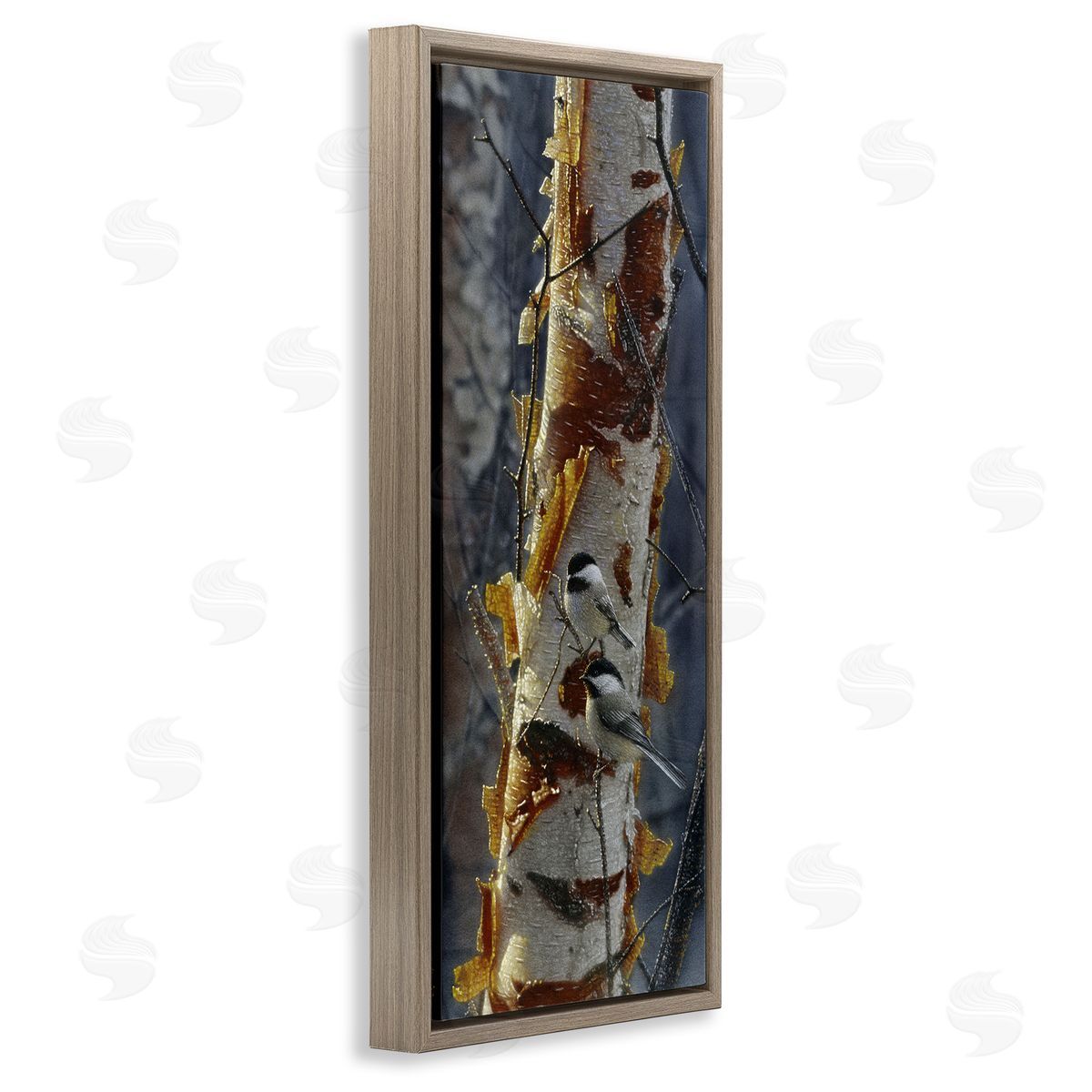 Collin Bogle Sunlit Birch Chickadees Canvas Wall Art Print