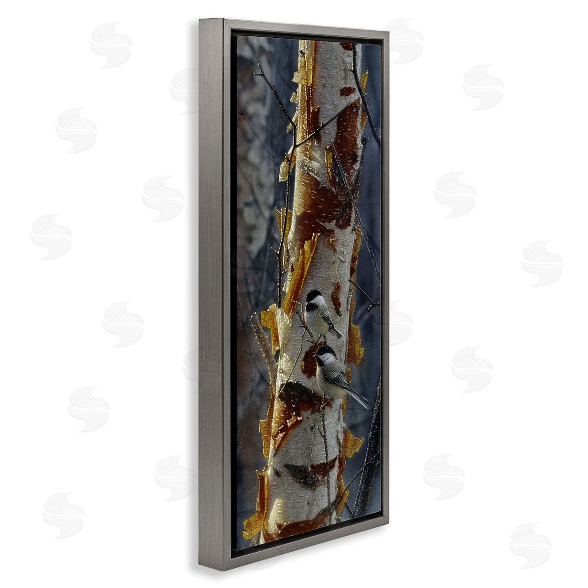Collin Bogle Sunlit Birch Chickadees Canvas Wall Art Print