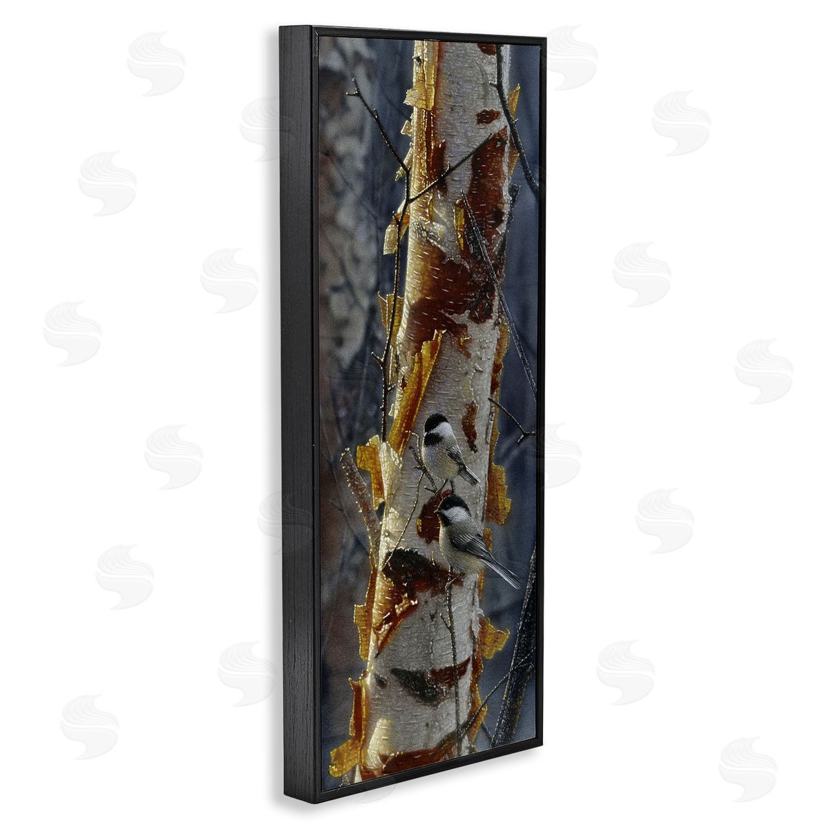 Collin Bogle Sunlit Birch Chickadees Canvas Wall Art Print