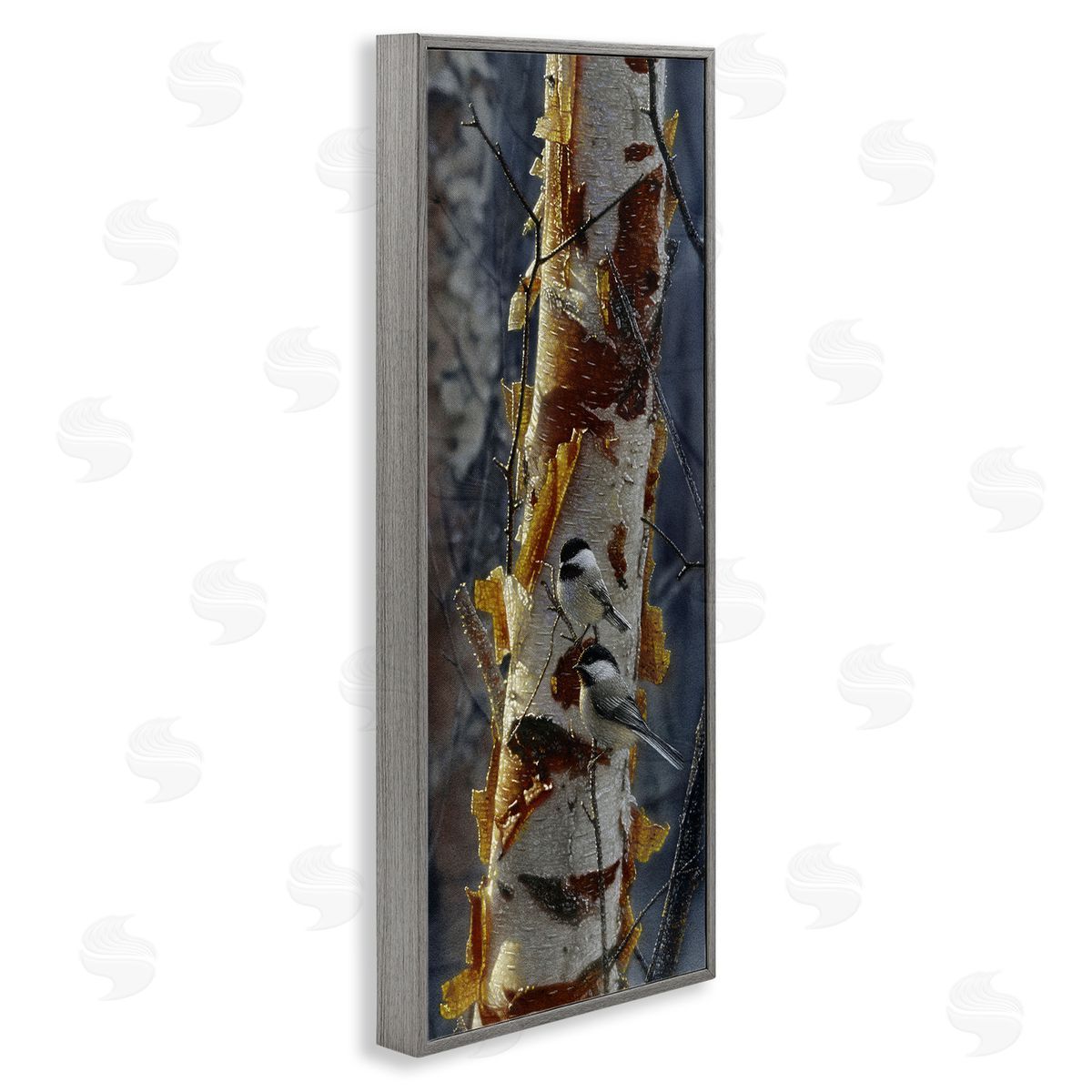Collin Bogle Sunlit Birch Chickadees Canvas Wall Art Print