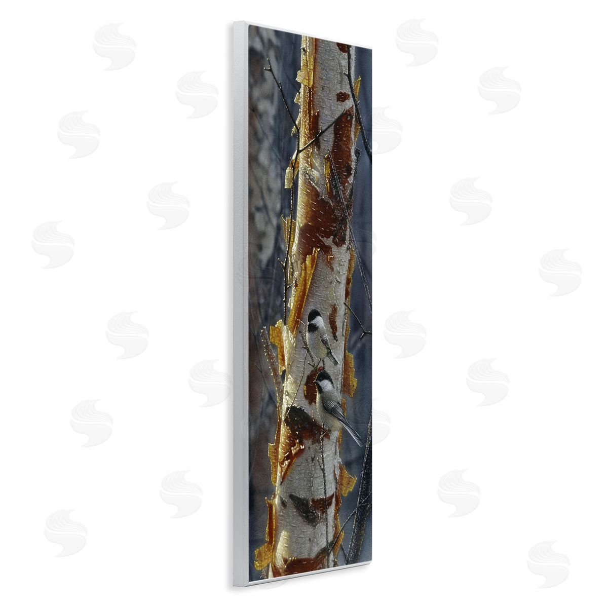 Collin Bogle Sunlit Birch Chickadees Canvas Wall Art Print
