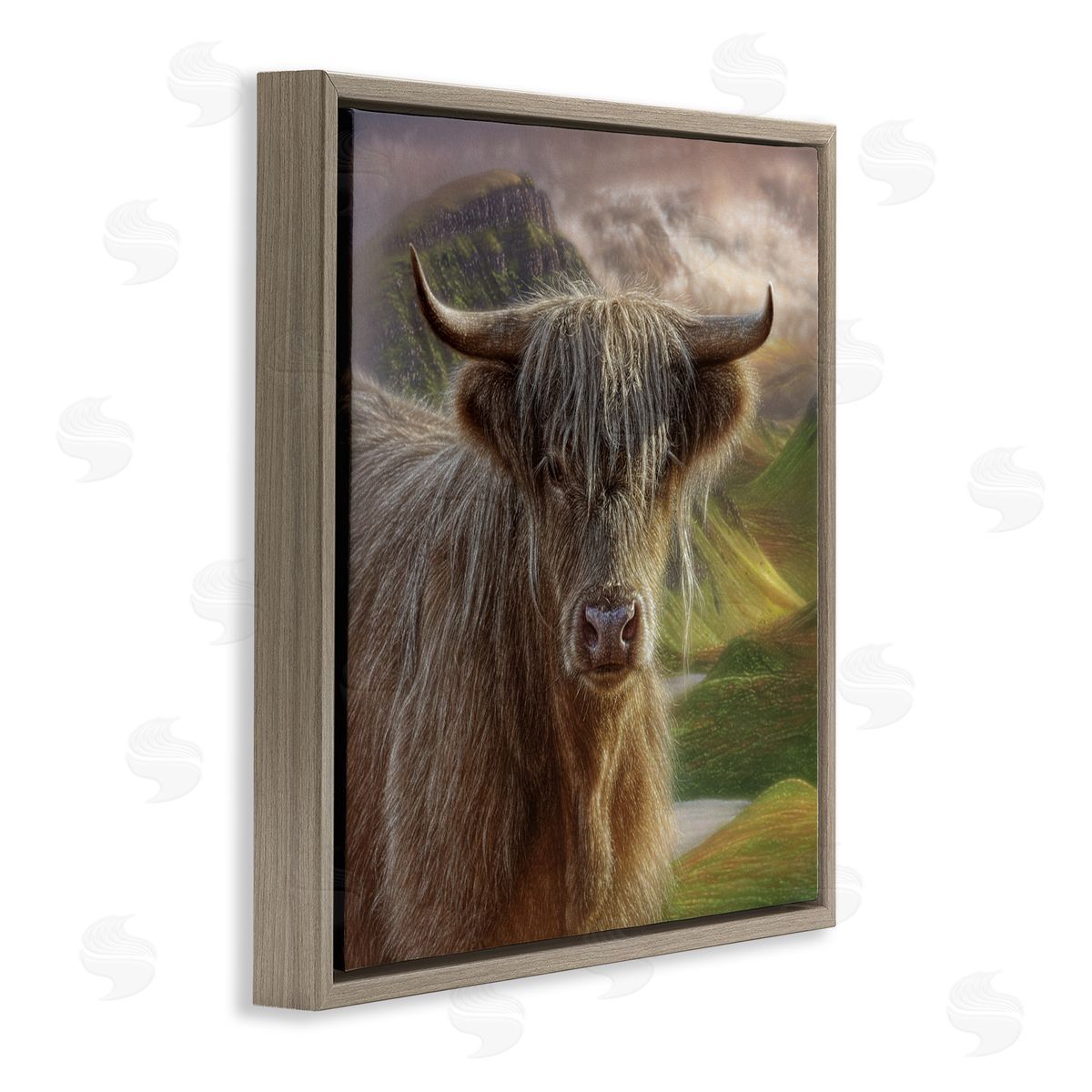 Collin Bogle Butterscotch Highland Cow Canvas Wall Art Print