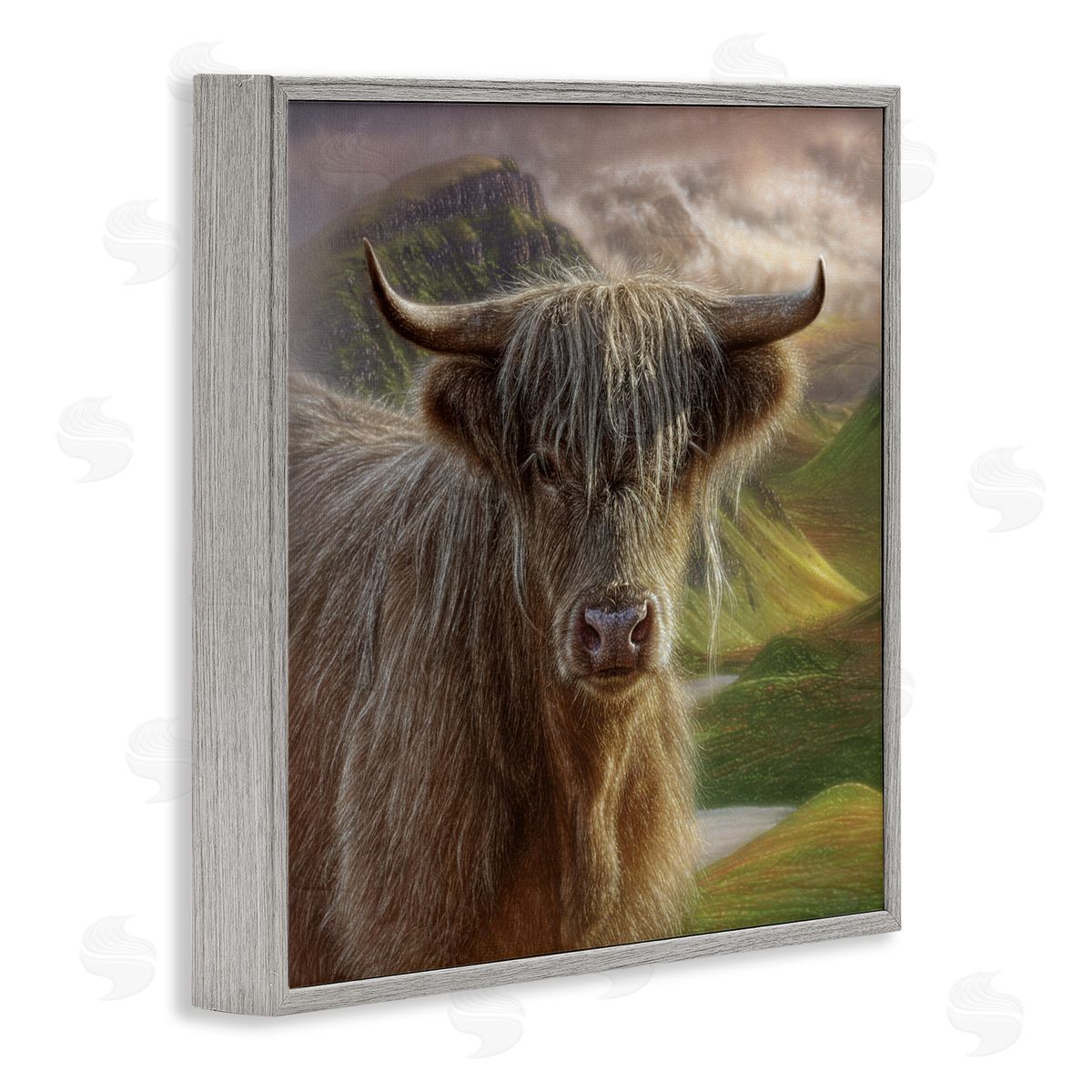 Collin Bogle Butterscotch Highland Cow Canvas Wall Art Print