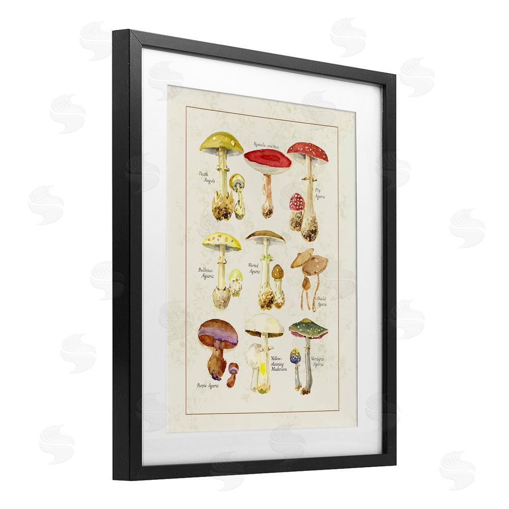 Tina Higgins Designs Inc. Various Mushroom Specimen Black Framed Print Under Glass Art