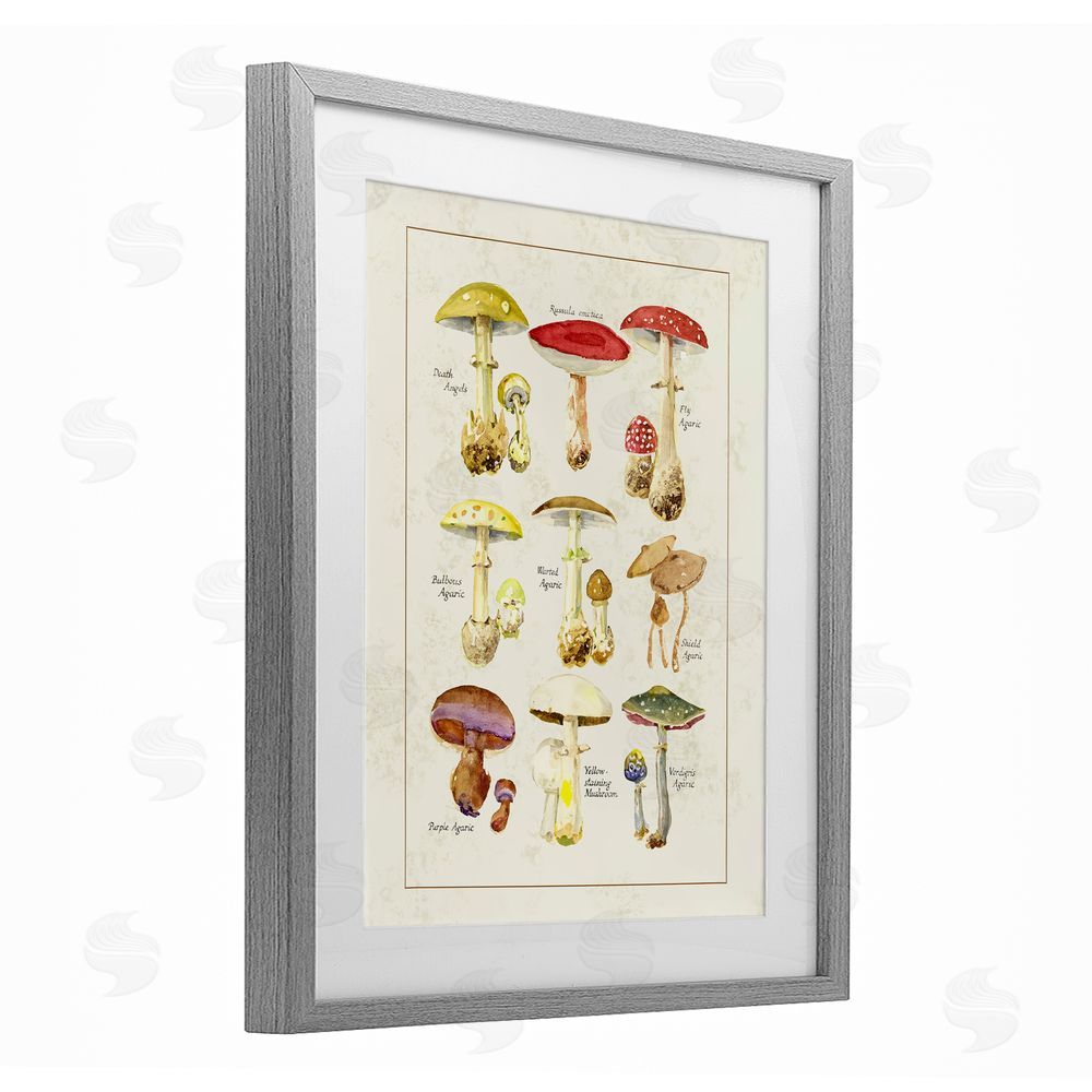 Tina Higgins Designs Inc. Various Mushroom Specimen Gray Framed Print Under Glass Art
