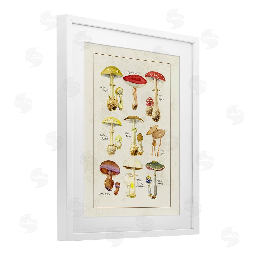 Tina Higgins Designs Inc. Various Mushroom Specimen White Framed Print Under Glass Art