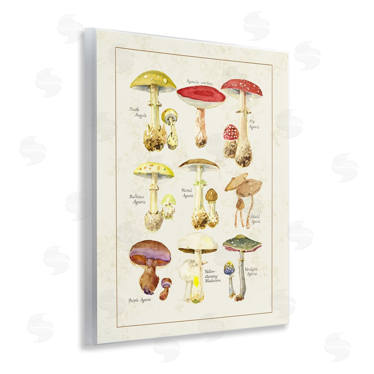 Tina Higgins Designs Inc. Various Mushroom Specimen Wall Plaque Art Print