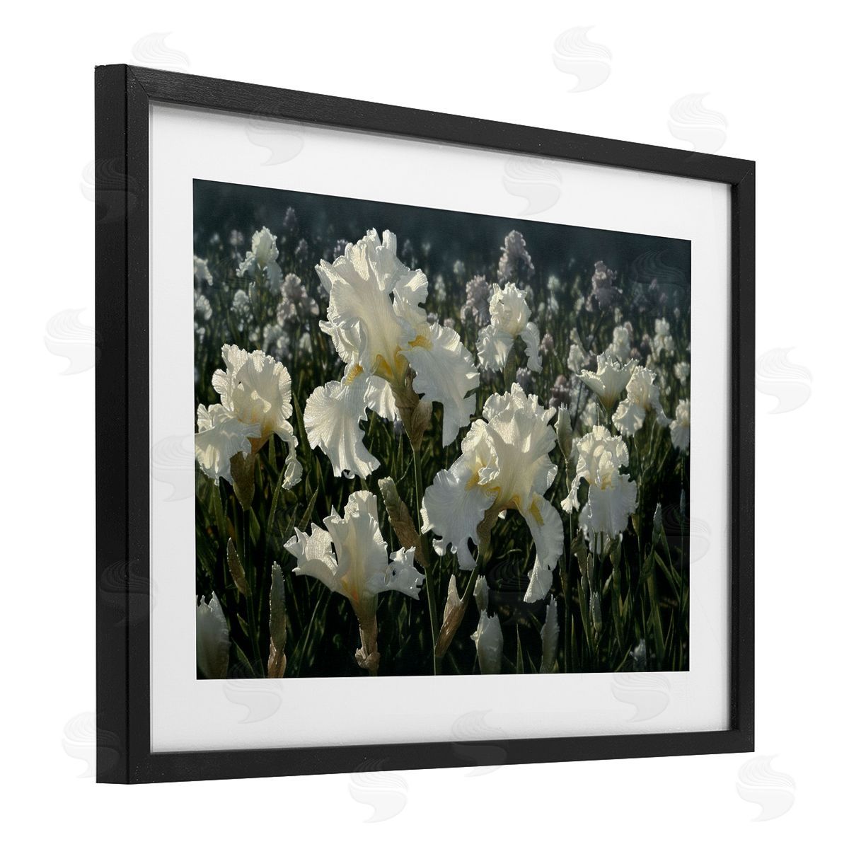Collin Bogle White Iris Garden Canvas Wall Art Print