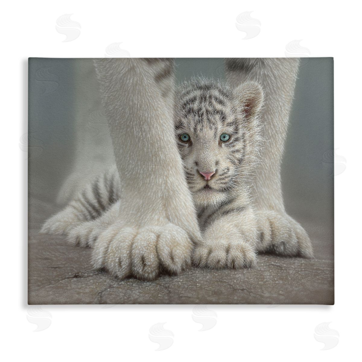 Collin Bogle Sheltered White Tiger Cub Canvas Wall Art Print