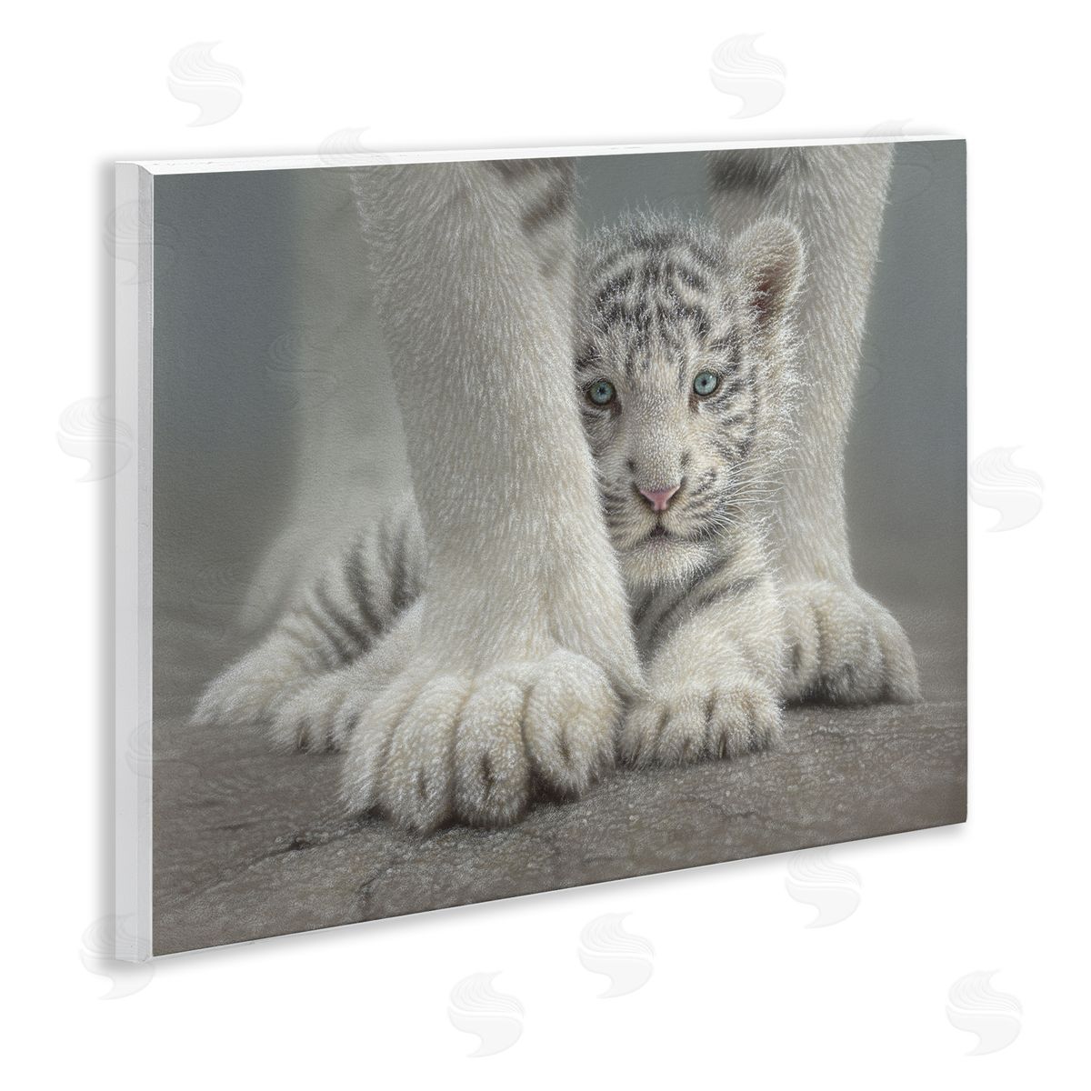 Collin Bogle Sheltered White Tiger Cub Canvas Wall Art Print