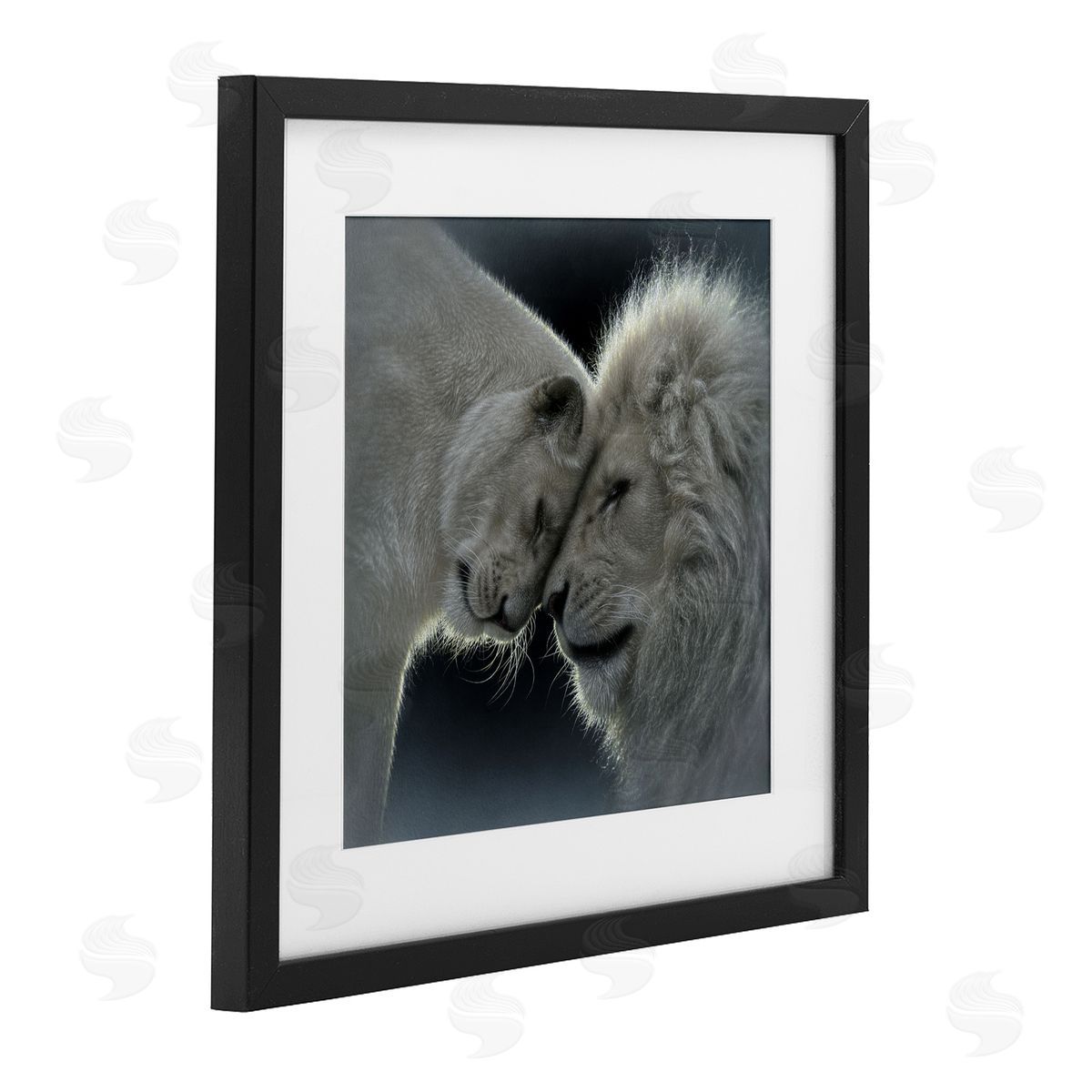 Collin Bogle White Lion Love Canvas Wall Art Print