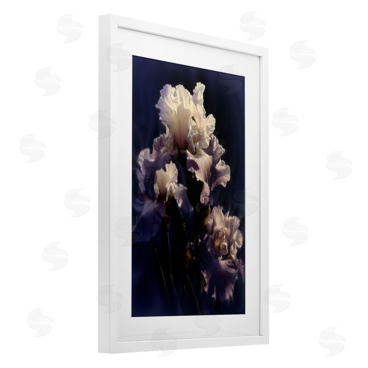 Collin Bogle Purple Iris Close Up Canvas Wall Art Print