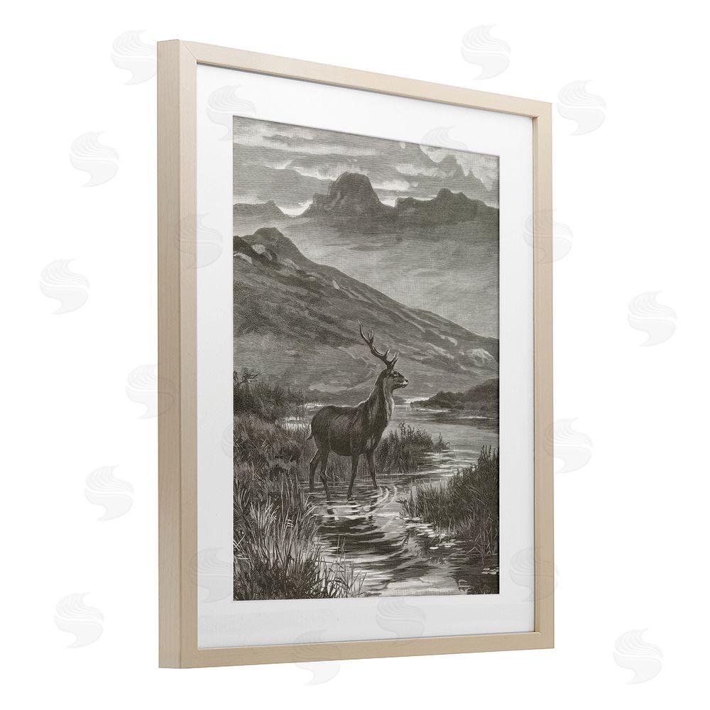 Wild Apple Portfolio Vintage Stag & Mountains Birch Framed Print Under Glass Art