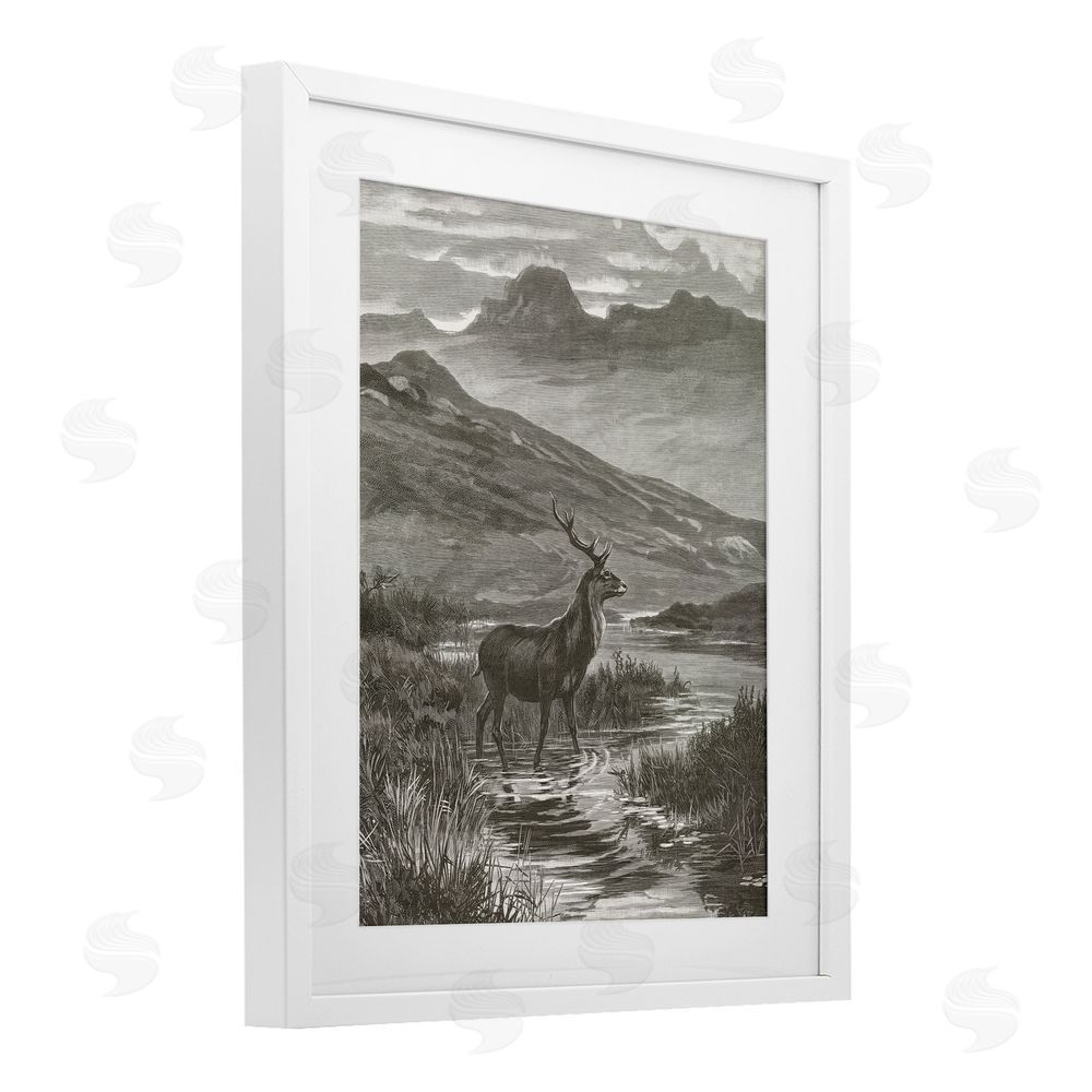 Wild Apple Portfolio Vintage Stag & Mountains White Framed Print Under Glass Art