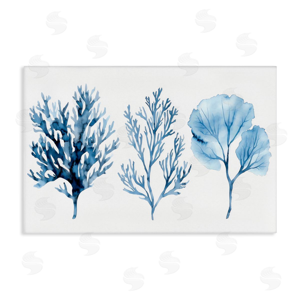 LSR Design Studio Blue Coral Types Trio Canvas Wall Art Print