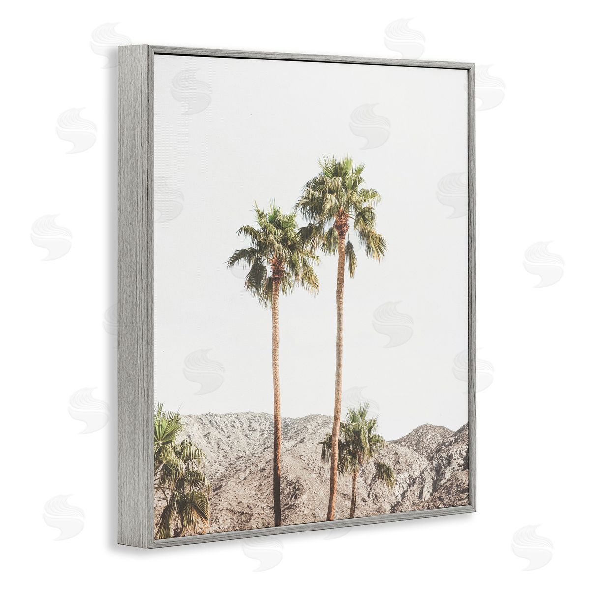 Sisi and Seb Palm Springs Looming Trees Gray Framed Giclee Art Print