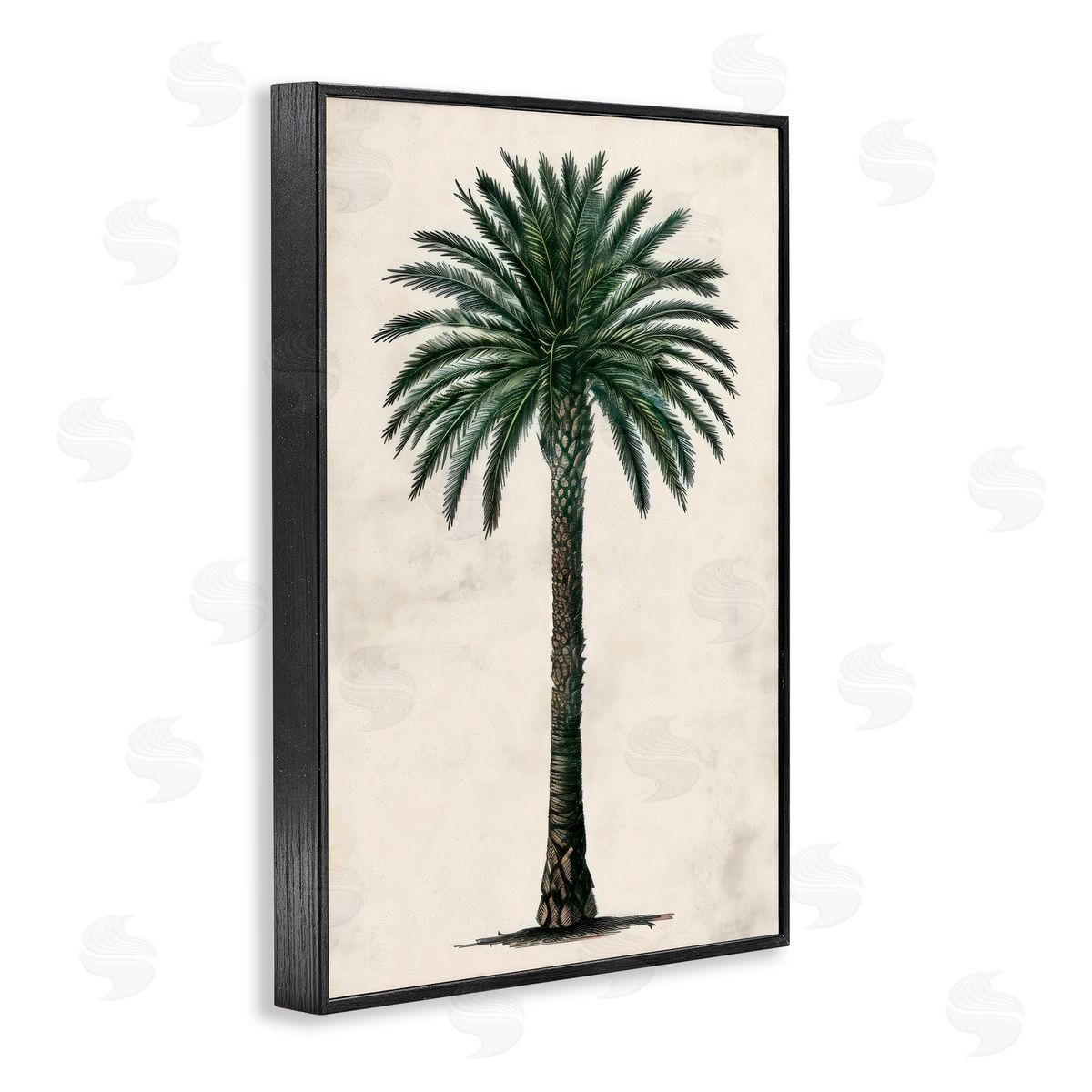 LSR Design Studio Botanical Rounded Palm Tree Black Framed Giclee Art Print