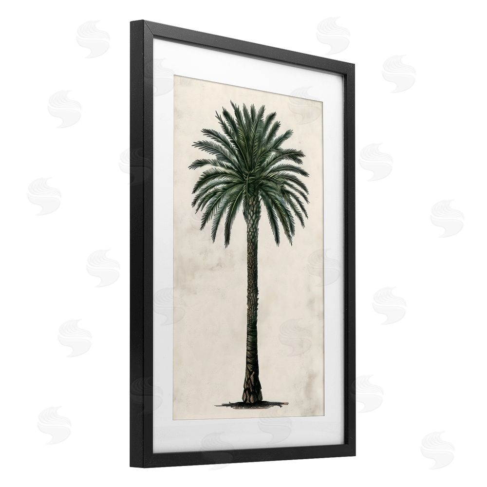 LSR Design Studio Botanical Rounded Palm Tree Black Framed Print Under Glass Art