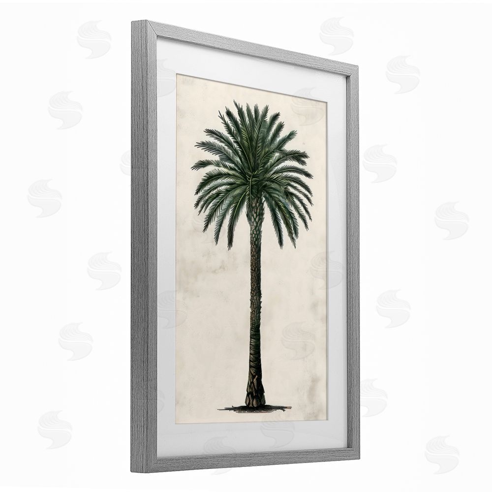 LSR Design Studio Botanical Rounded Palm Tree Gray Framed Print Under Glass Art