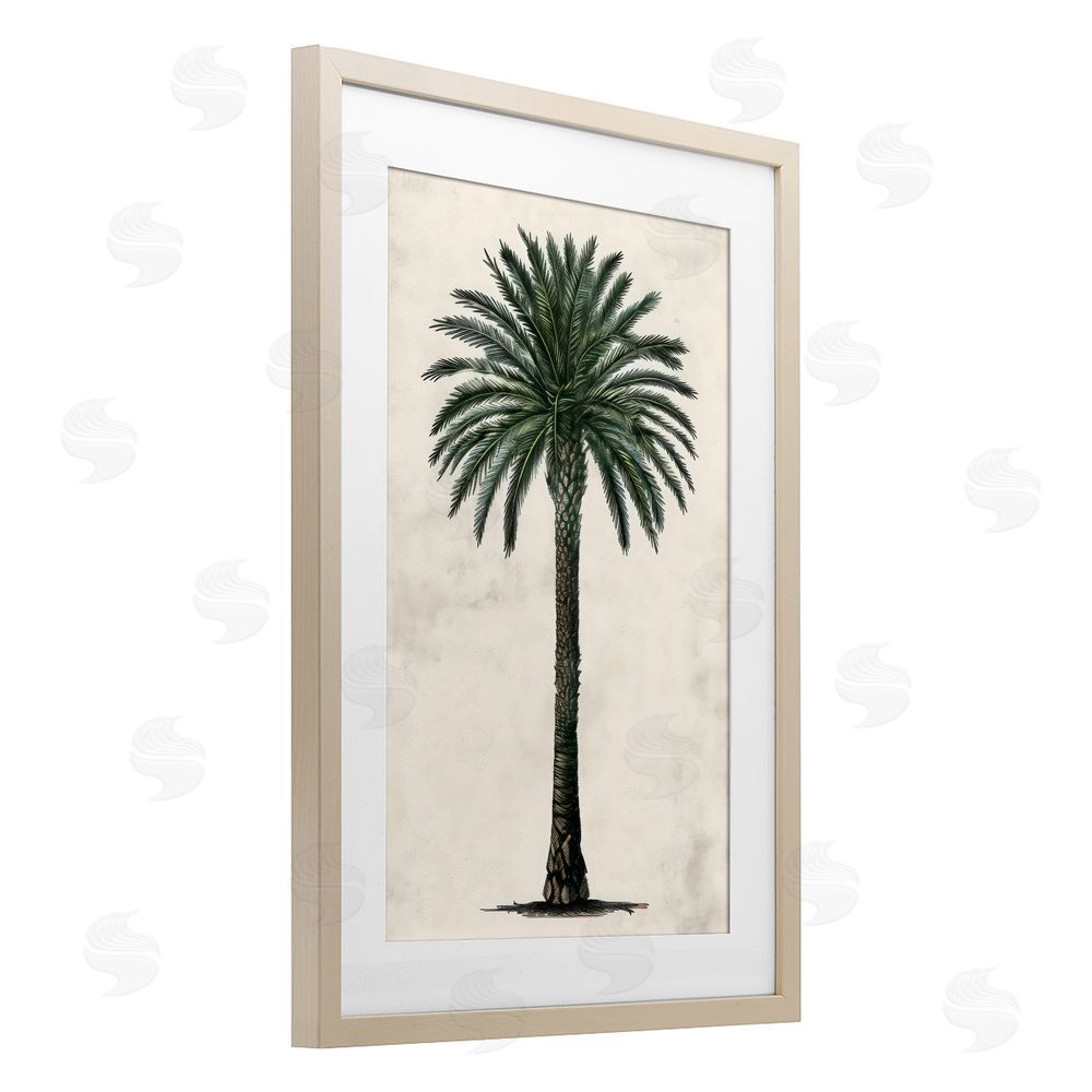 LSR Design Studio Botanical Rounded Palm Tree Birch Framed Print Under Glass Art