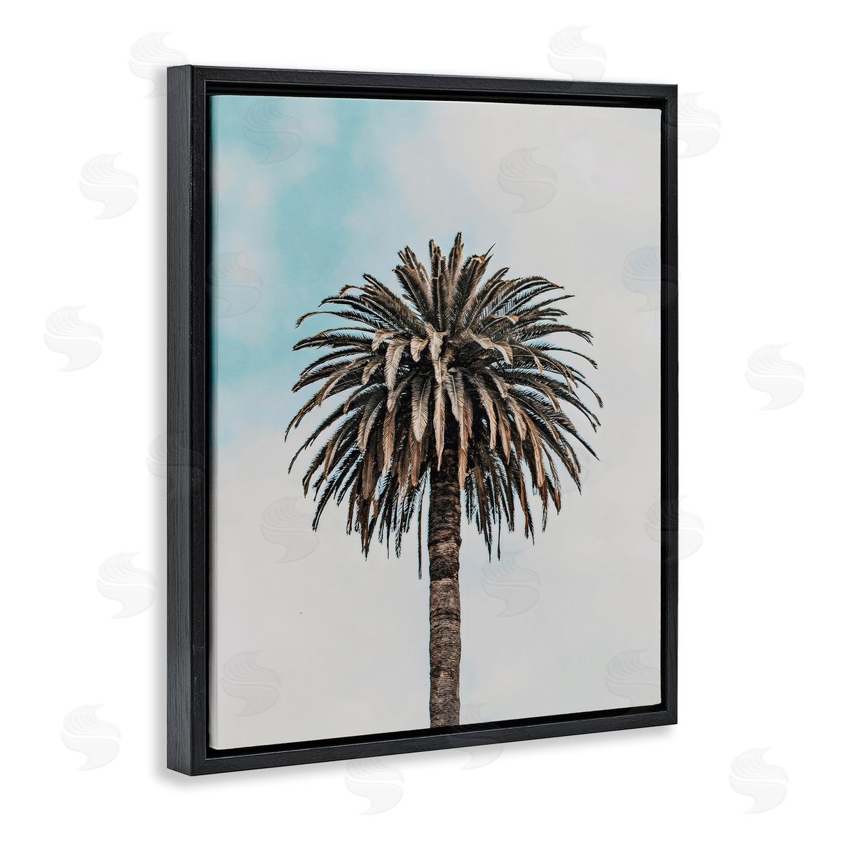 LSR Design Studio Centric Elegant Palm Black Floating Frame Canvas Wall Art Print