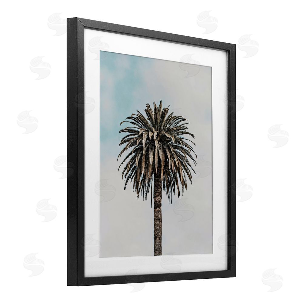 LSR Design Studio Centric Elegant Palm Black Framed Print Under Glass Art