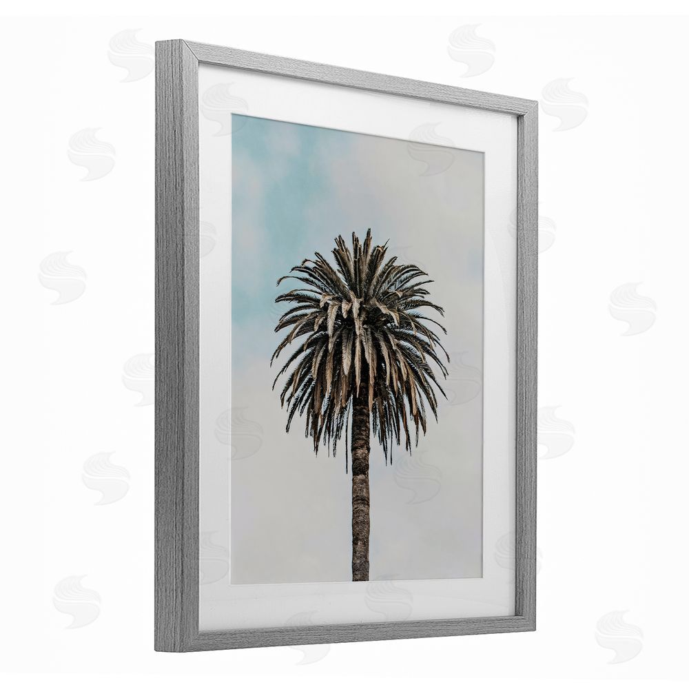 LSR Design Studio Centric Elegant Palm Gray Framed Print Under Glass Art