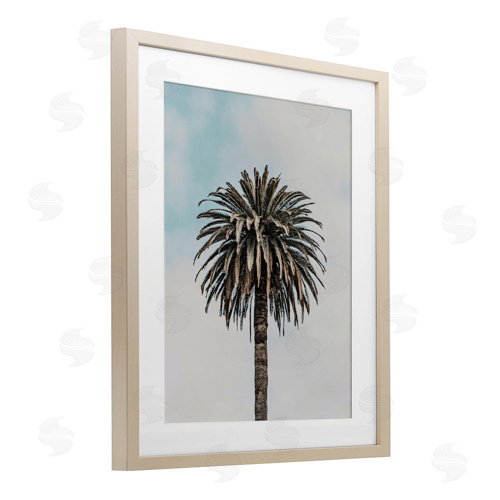 LSR Design Studio Centric Elegant Palm Birch Framed Print Under Glass Art