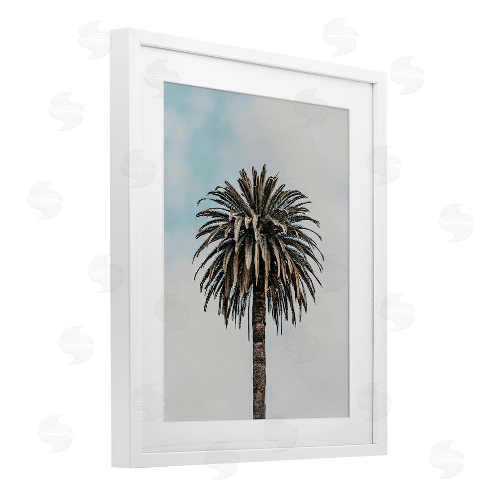 LSR Design Studio Centric Elegant Palm White Framed Print Under Glass Art