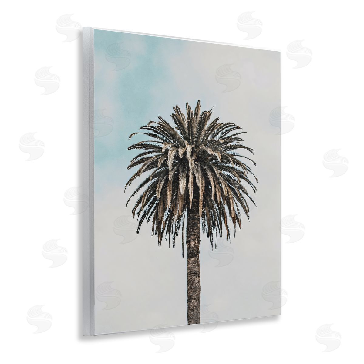 LSR Design Studio Centric Elegant Palm Wall Plaque Art Print