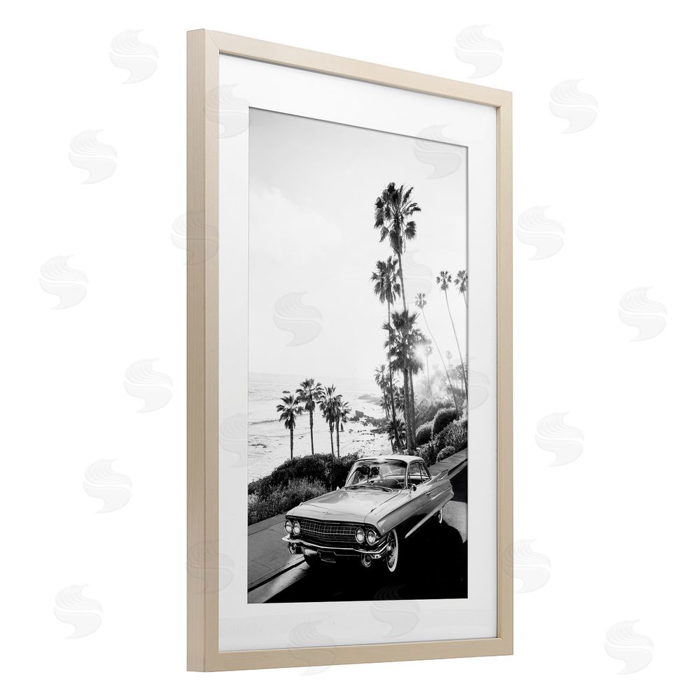 Sisi and Seb Malibu Classic Black & White Birch Framed Print Under Glass Art