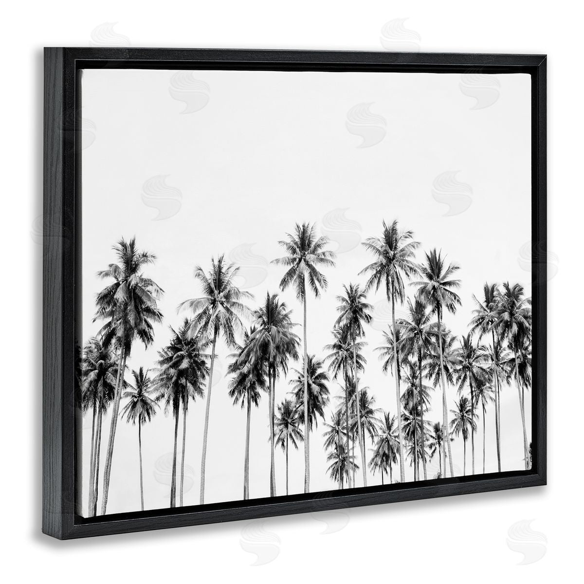 Sisi and Seb Palm Trees Paradise in Monochrome Black Floating Frame Canvas Wall Art Print