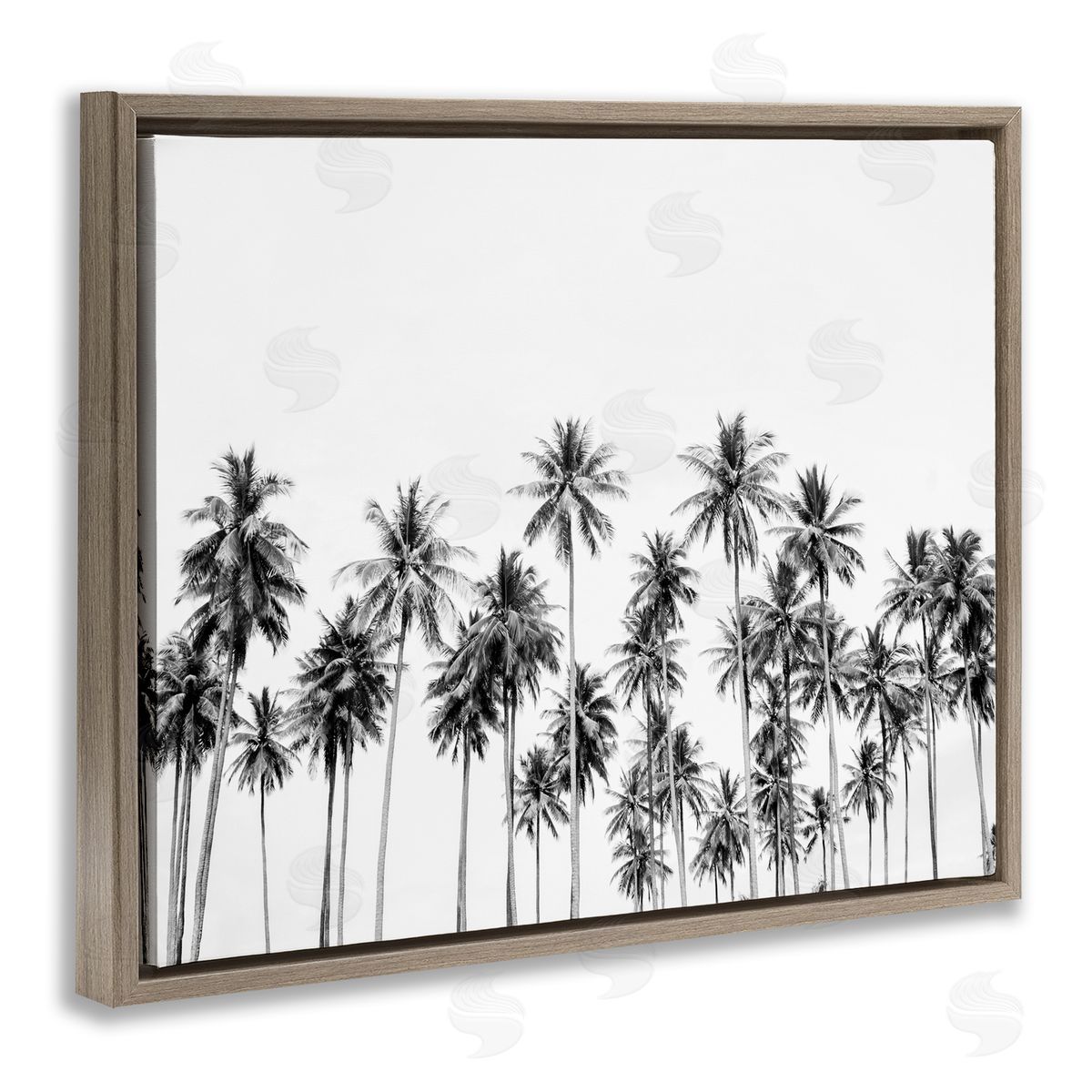 Sisi and Seb Palm Trees Paradise in Monochrome Brown Floating Frame Canvas Art Print