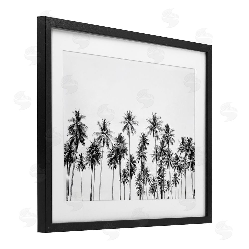 Sisi and Seb Palm Trees Paradise in Monochrome Black Framed Print Under Glass Art
