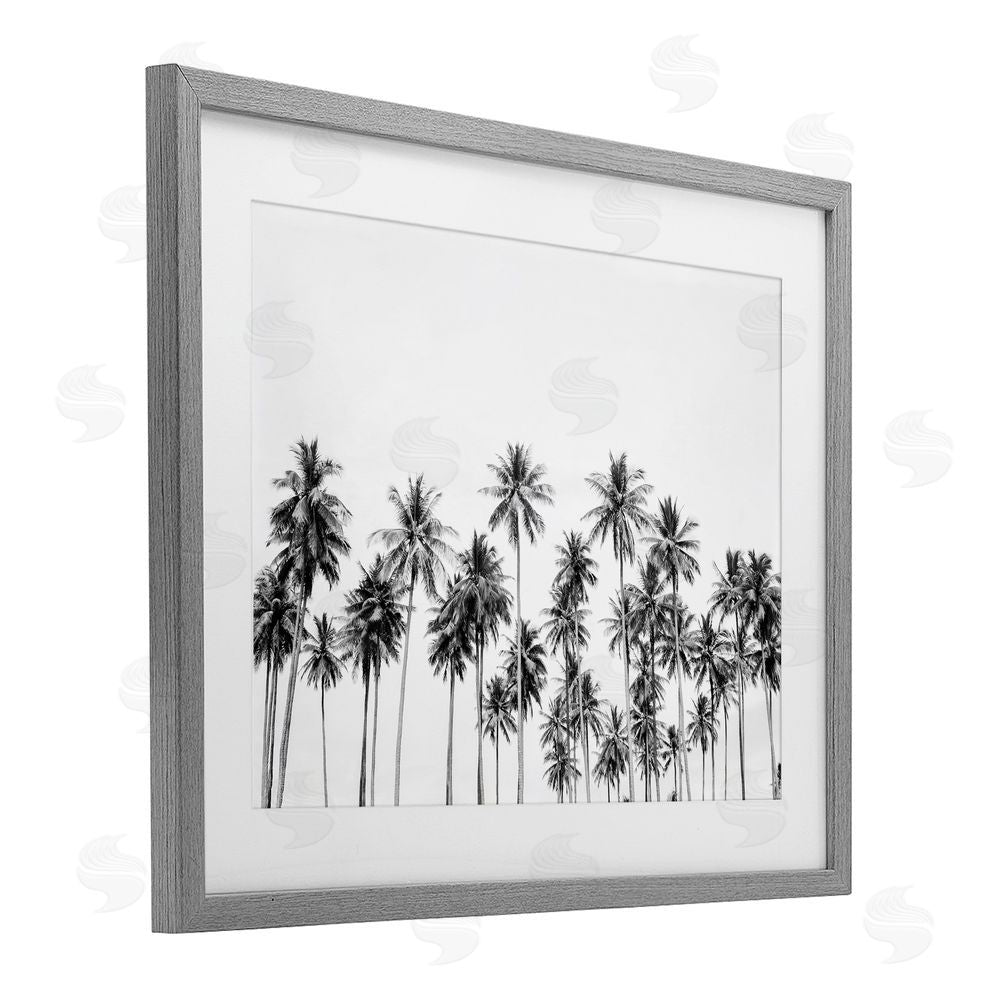 Sisi and Seb Palm Trees Paradise in Monochrome Gray Framed Print Under Glass Art