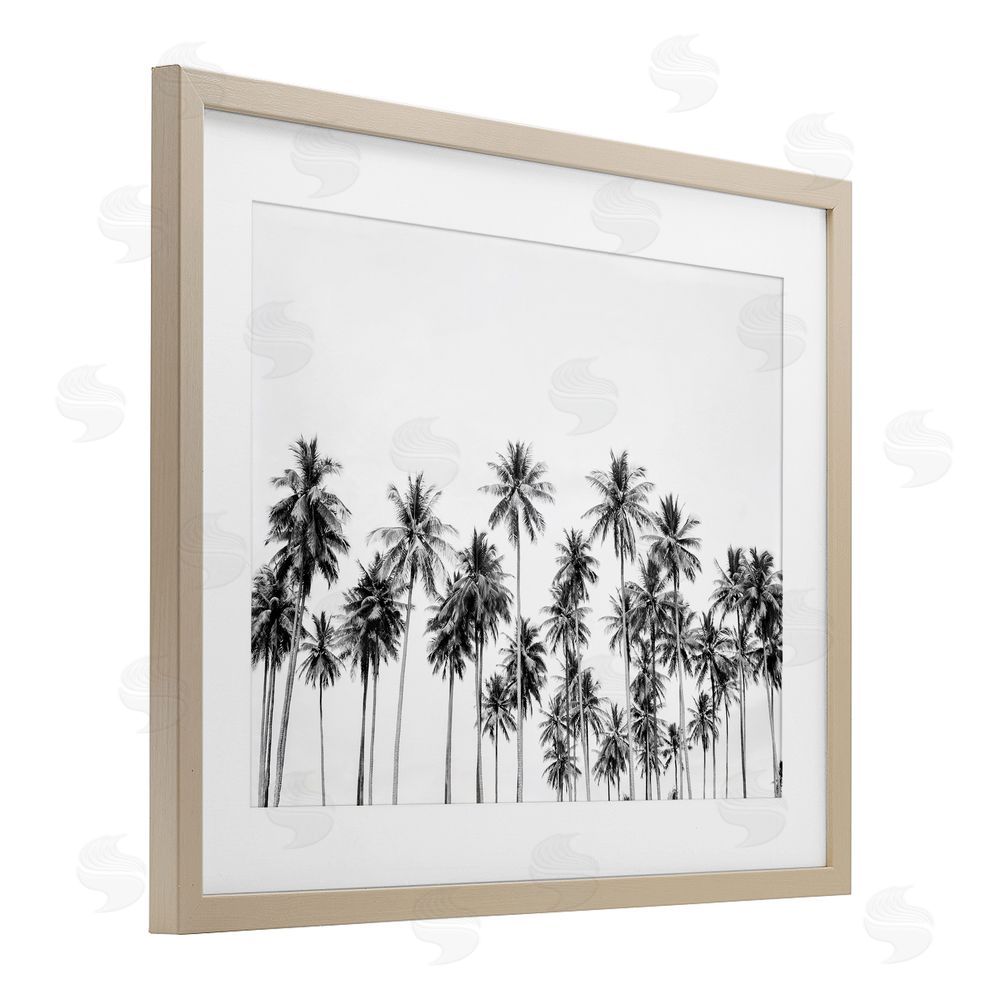 Sisi and Seb Palm Trees Paradise in Monochrome Birch Framed Print Under Glass Art