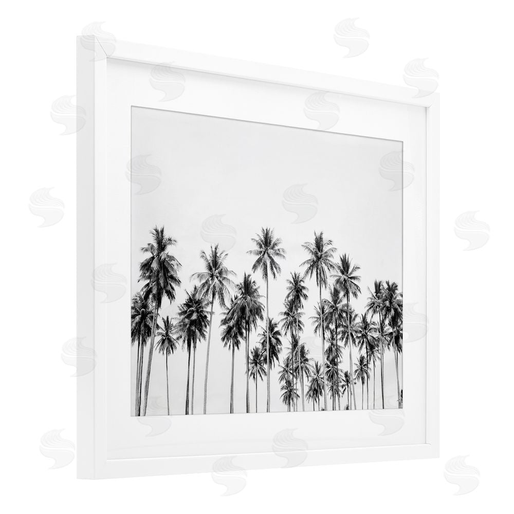 Sisi and Seb Palm Trees Paradise in Monochrome White Framed Print Under Glass Art