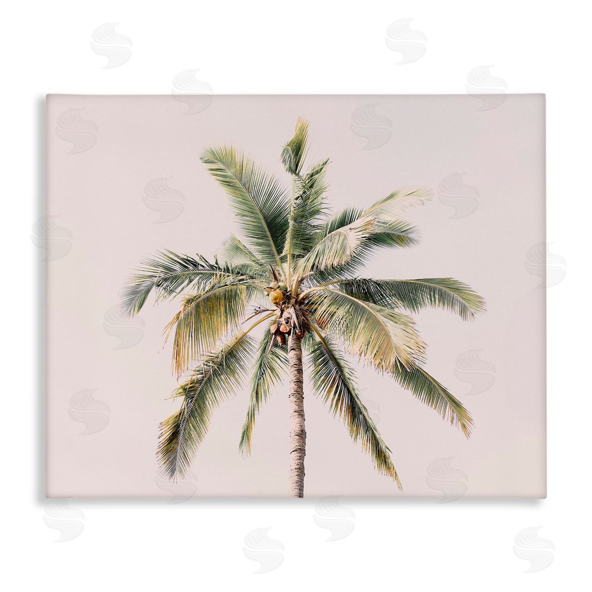 Sisi and Seb Palm Tree Underside on Pink Canvas Wall Art Print