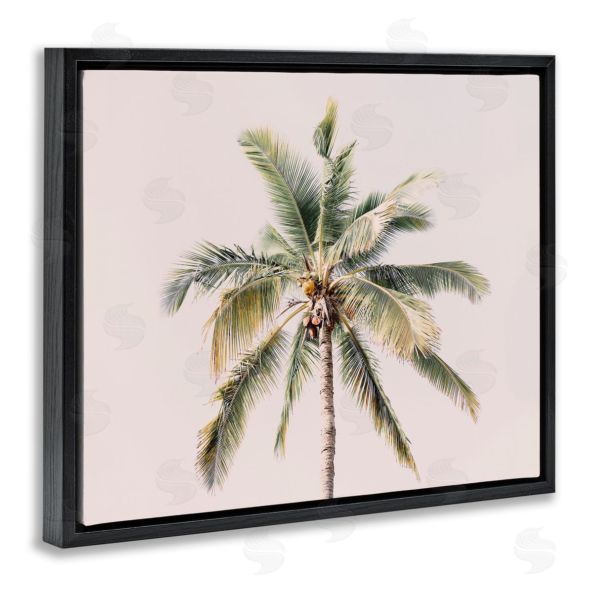 Sisi and Seb Palm Tree Underside on Pink Black Floating Frame Canvas Wall Art Print