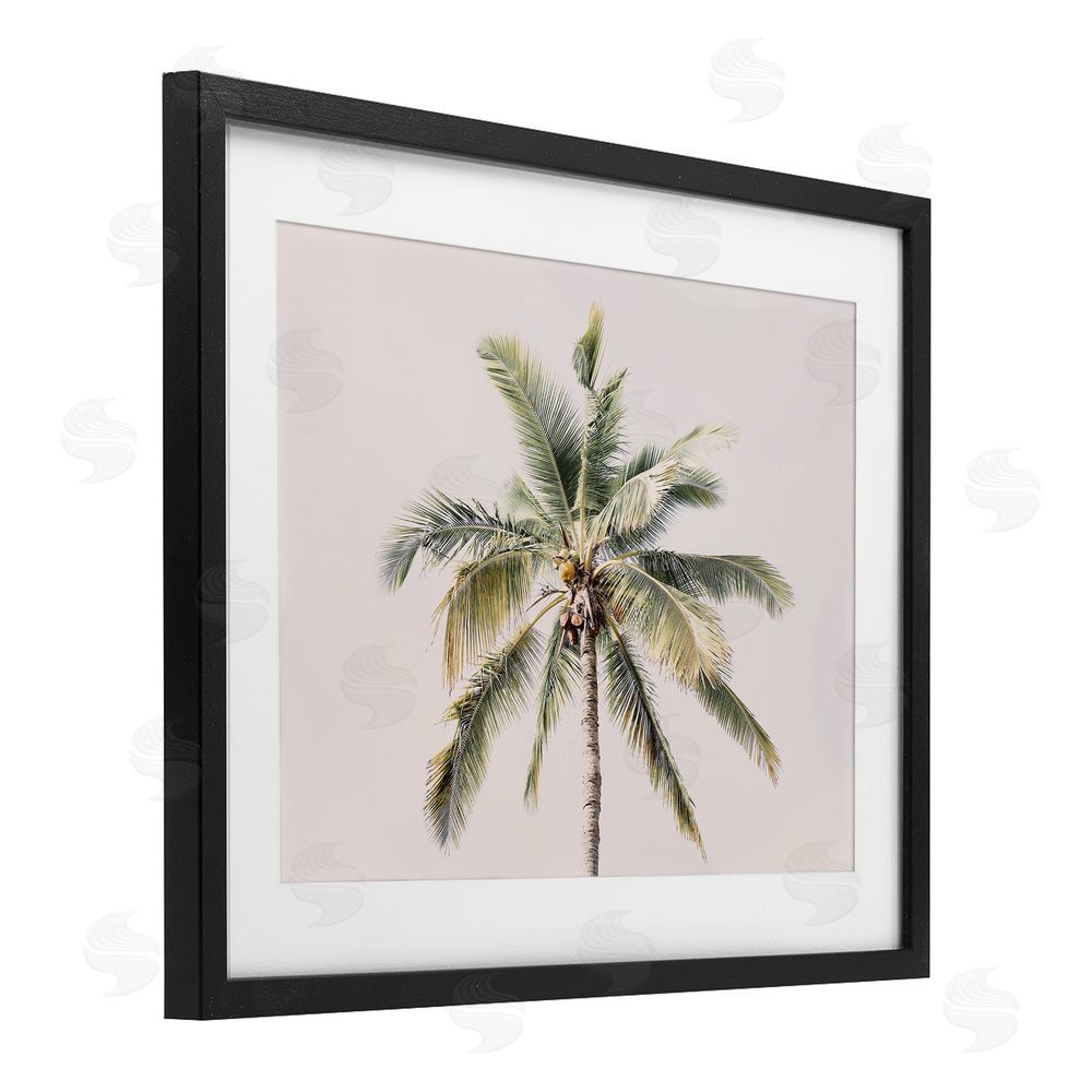 Sisi and Seb Palm Tree Underside on Pink Black Framed Print Under Glass Art