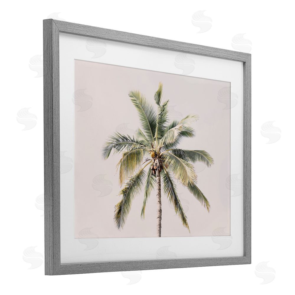 Sisi and Seb Palm Tree Underside on Pink Gray Framed Print Under Glass Art